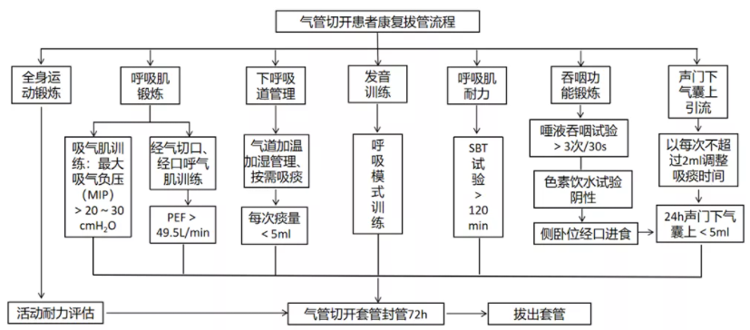 to be or not to be—论气管切开规范康复管理的重要性